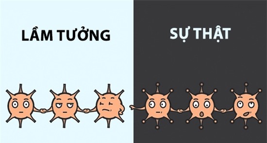 Nhiều người lầm tưởng nơ ron thần kinh sẽ ngừng phát triển khi cơ thể trưởng thành. Kì thực là, những tế bào thần kinh này luôn phát triển và thay đổi suốt cuộc đời bạn.