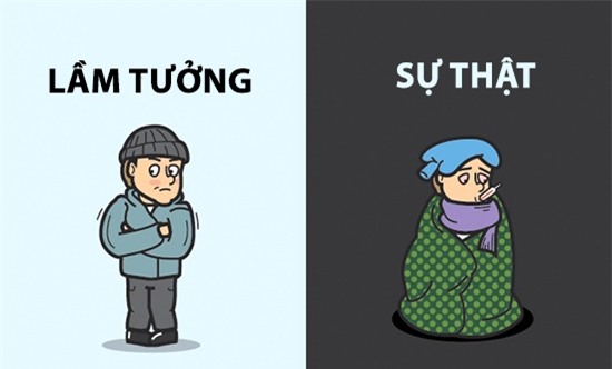 Trong khi nhiều người cho rằng bệnh cảm lạnh bởi trời lạnh gây ra thì sự thật nó là do virus chứ không hề liên quan đến nhiệt độ.