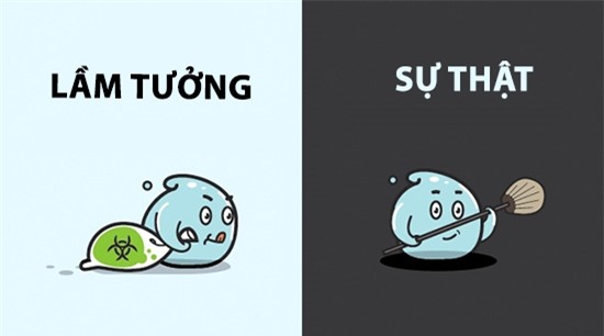 Nếu vẫn tin rằng cơ thể tiết mồ hôi để thải độc thì bạn đã lầm to rồi đấy. Mồ hôi chỉ giúp làm mát cơ thể mà thôi!
