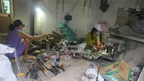 Cặp sừng ngàn đô, cả làng nguy cơ đổ bệnh