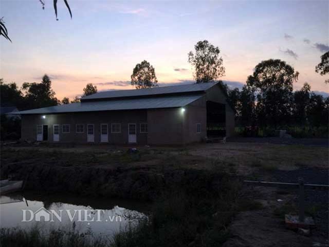 Phát hoảng với 'tôm 10 càng' người Trung Quốc nuôi ở Đồng Tháp