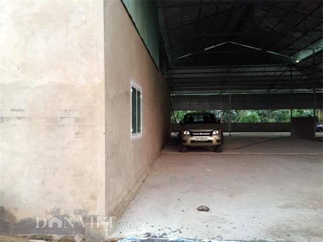 Phát hoảng với 'tôm 10 càng' người Trung Quốc nuôi ở Đồng Tháp