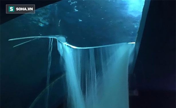 Bể kính chứa 13 con cá mập bất ngờ bị vỡ, nước tràn ngập cả khu dân cư - Ảnh 2.