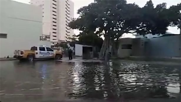 Bể kính chứa 13 con cá mập bất ngờ bị vỡ, nước tràn ngập cả khu dân cư - Ảnh 3.