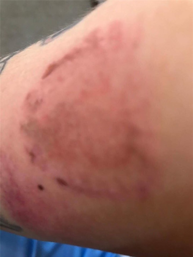 vo chong phi thanh van 