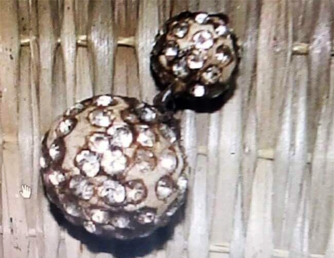 Truy tim tung tich co gai co hinh xam hoa hong bi cat co hinh anh 2