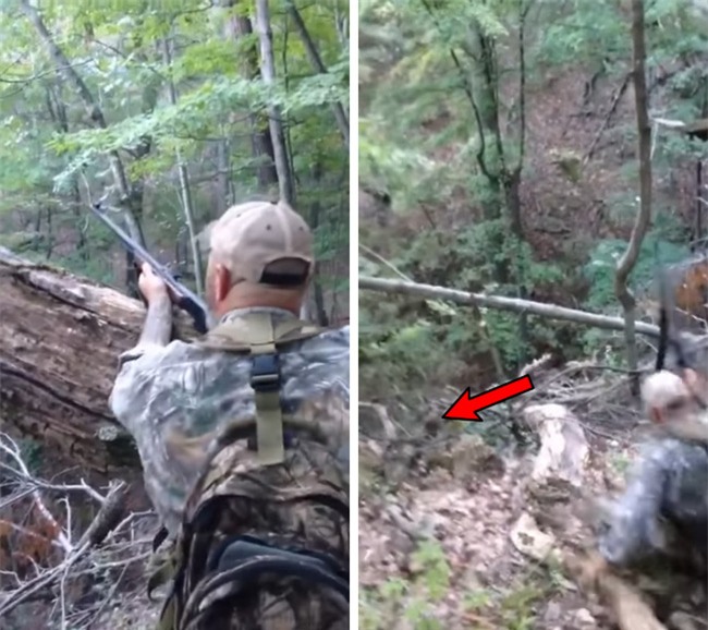 Video: Bị bắn, gấu giả chết rồi bất ngờ vùng dậy lao vào tấn công người đi săn - Ảnh 2.