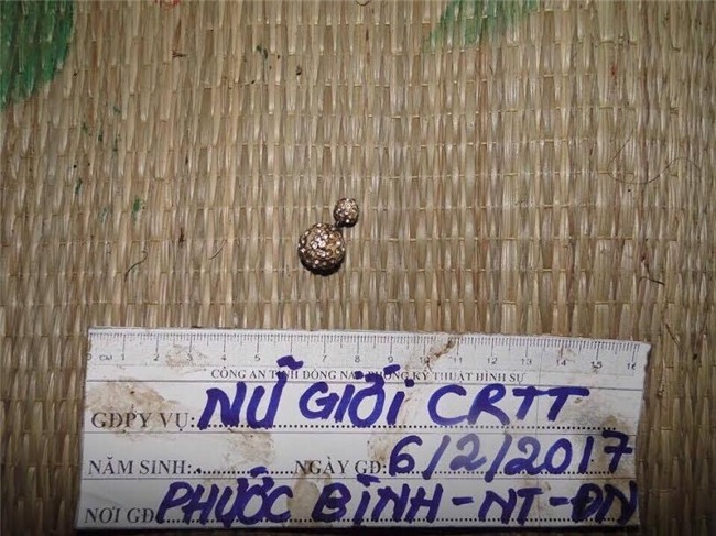 xac dinh hai nghi can sat hai nguoi phu nu bo trong bao tai hinh anh 2