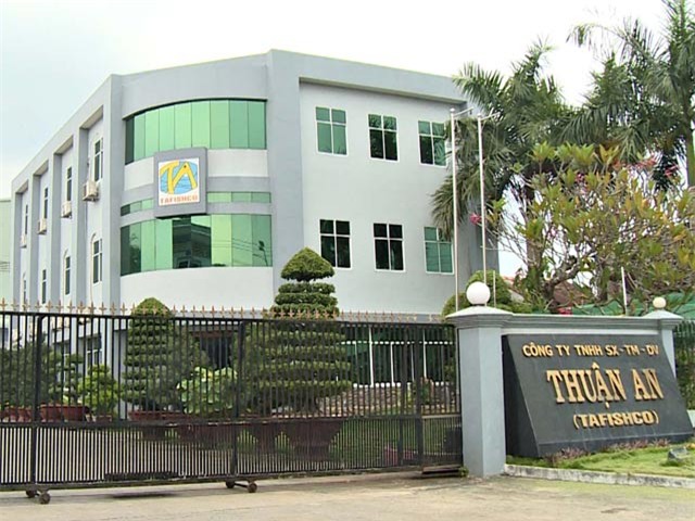 Đại gia thủy sản ôm 80 tỷ lặn tăm, người nuôi cá cầu cứu Thủ tướng