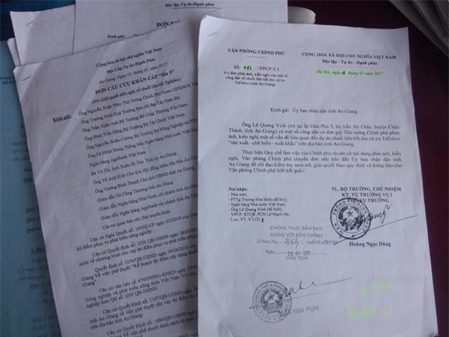 Đại gia thủy sản ôm 80 tỷ lặn tăm, người nuôi cá cầu cứu Thủ tướng