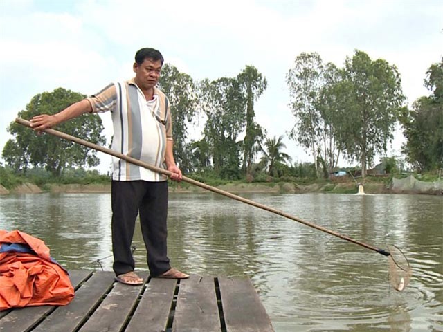 Đại gia thủy sản ôm 80 tỷ lặn tăm, người nuôi cá cầu cứu Thủ tướng