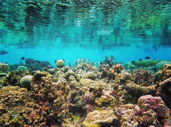 Tất tật những điều cần biết để khám phá Vĩnh Hy - 1 trong 4 vịnh đẹp nhất Việt Nam - Ảnh 13.