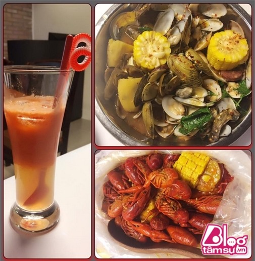 tran thanh blogtamsuvn (13)