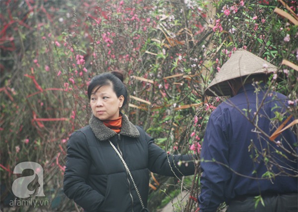 Người dân Hà Nội bỏ tiền triệu mua hoa lê trắng để chơi nhân dịp Rằm tháng Giêng - Ảnh 15.