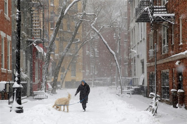 Bão tuyết phủ trắng xóa New York, ít nhất một người chết - Ảnh 5.