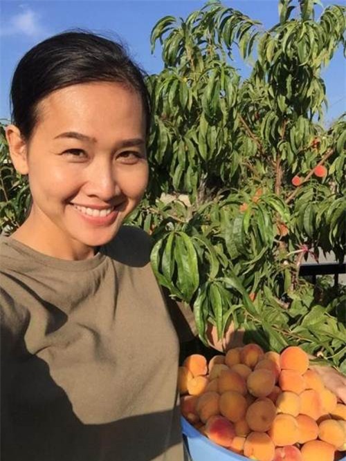 vuon nha triu qua viet cua bang kieu va quang le tren dat my - 11