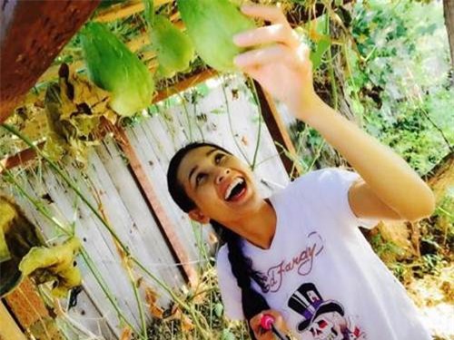 vuon nha triu qua viet cua bang kieu va quang le tren dat my - 13
