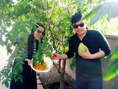 vuon nha triu qua viet cua bang kieu va quang le tren dat my - 2