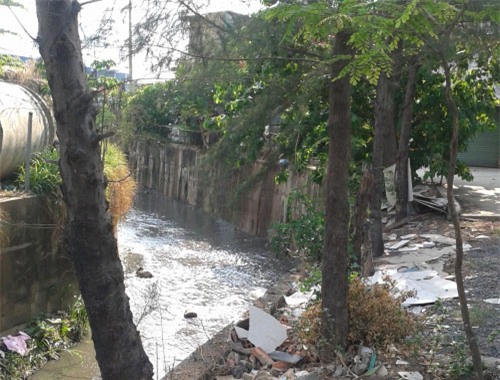 tam thu dam nuoc mat cua nu hung thu trong vu giet ban, phi tang xac - 1