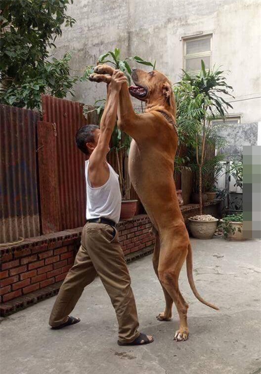 anh-hot-blogtamsu-93