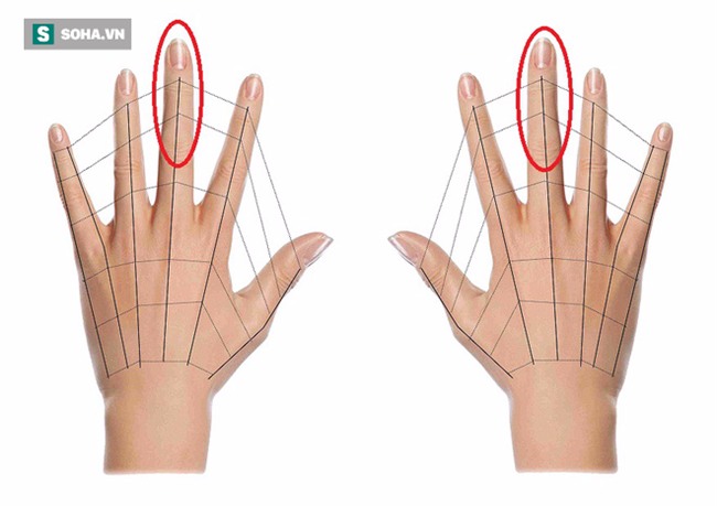 Bôi dầu gió lên đốt ngón tay giữa: Cách hay trong Đông y để phát hiện bệnh về não - Ảnh 2.