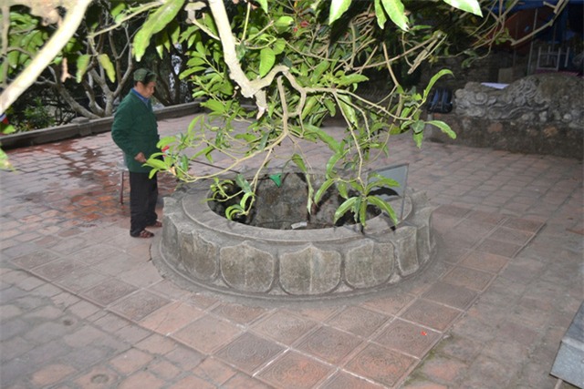 su that ve gieng nuoc hon 700 tuoi "chua bach benh" o con son - 2