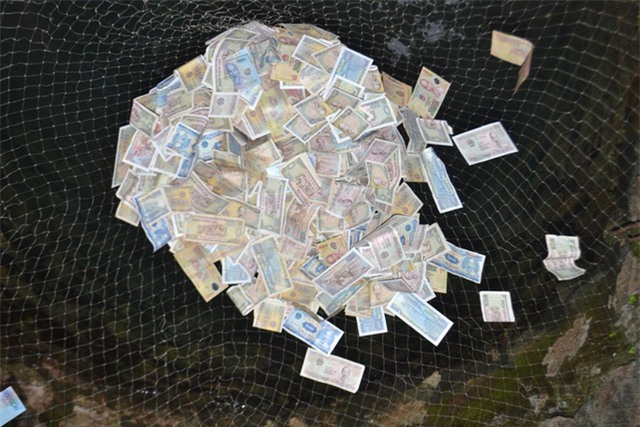 su that ve gieng nuoc hon 700 tuoi "chua bach benh" o con son - 5