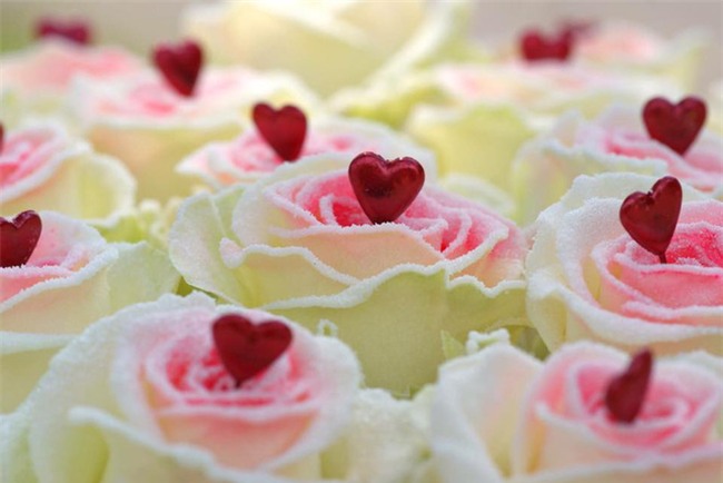 Gần 300.000 đồng cho một bông hồng phủ chocolate trong ngày Valentine - Ảnh 1.