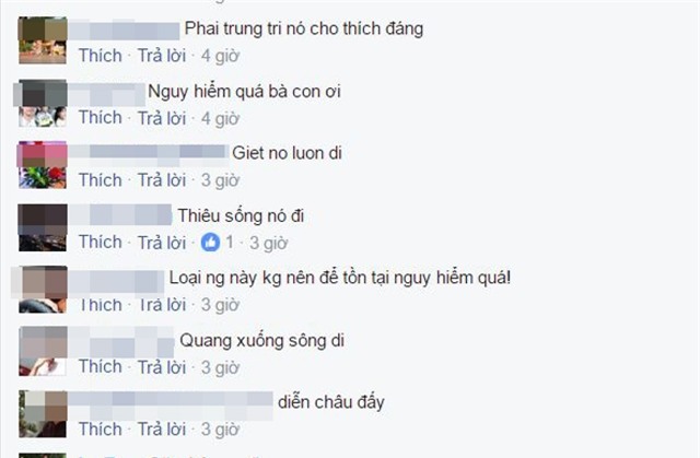 Nhiều người vào bình luận, đòi xử người phụ nữ trên.