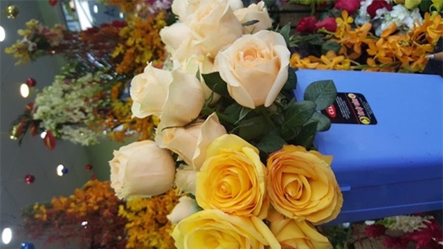 Không chỉ Tulip, hồng Ecuador cũng được khách hàng ưa chuộng vì màu sắc và độ bền hơn hẳn hoa nội