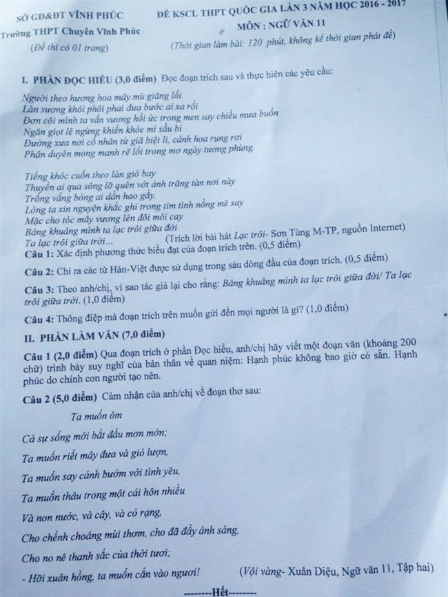 'Lac troi' cua Son Tung M-TP vao de thi Ngu van lop 11 hinh anh 1