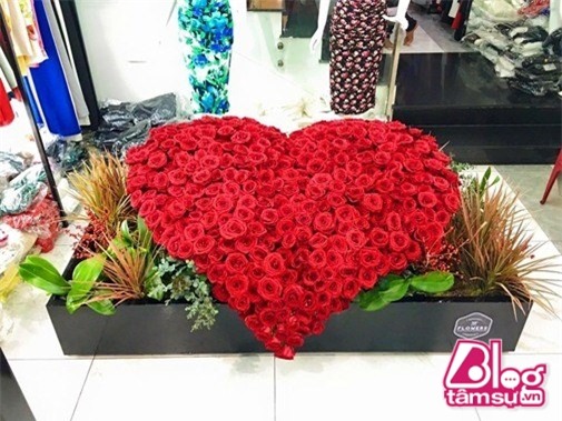 ngoc trinh blogtamsuvn (2)