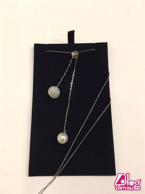 qua cua Tran thanh blogtamsuvn (12)