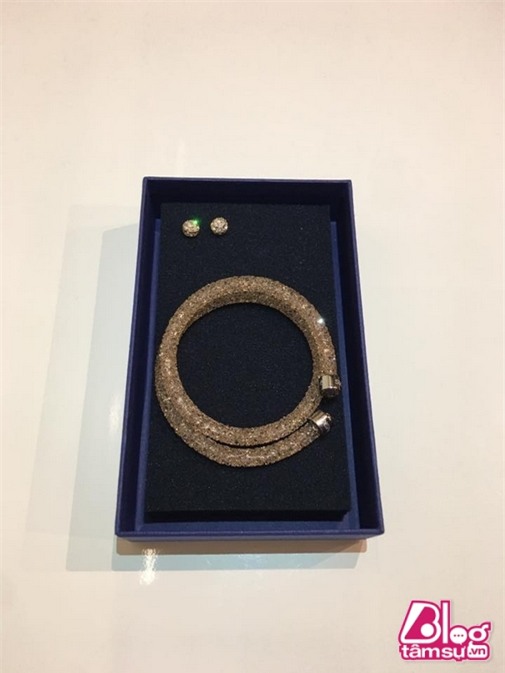 qua cua Tran thanh blogtamsuvn (13)