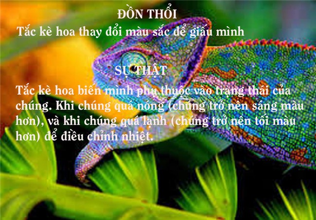 9 kiến thức sai hoàn toàn nhiều người tưởng là chân lý