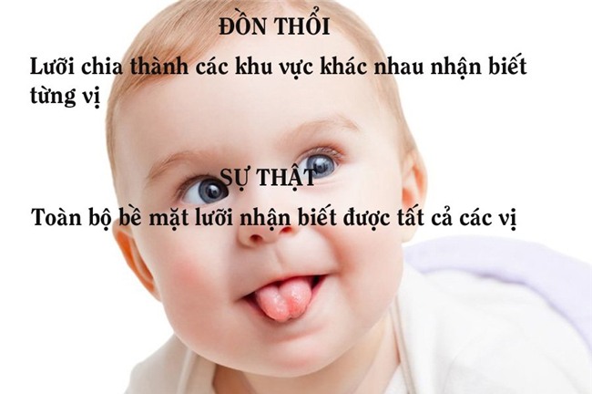 9 kiến thức sai hoàn toàn nhiều người tưởng là chân lý