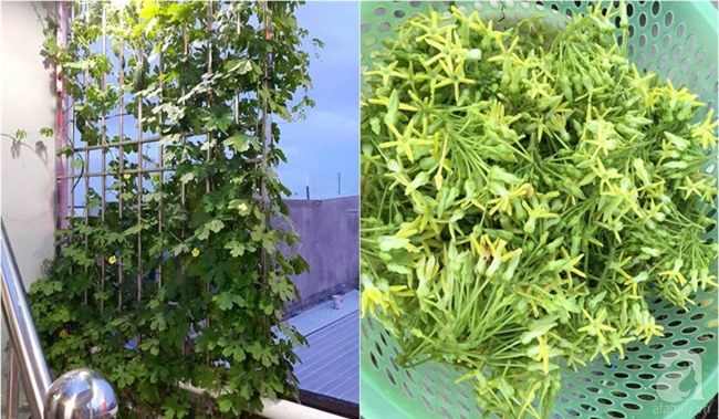 Chỉ với 5 triệu đồng, cô giáo trẻ ở Sài Gòn đã có 1 khu vườn trồng hoa và rau rất xinh xắn - Ảnh 22.