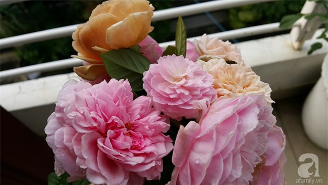 Chỉ với 5 triệu đồng, cô giáo trẻ ở Sài Gòn đã có 1 khu vườn trồng hoa và rau rất xinh xắn - Ảnh 23.