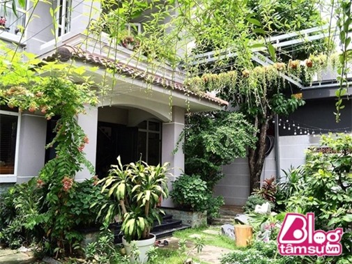 cao-thai-son-son-tung-blogtamsuvn8