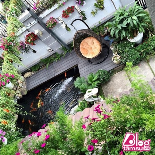 cao-thai-son-son-tung-blogtamsuvn9