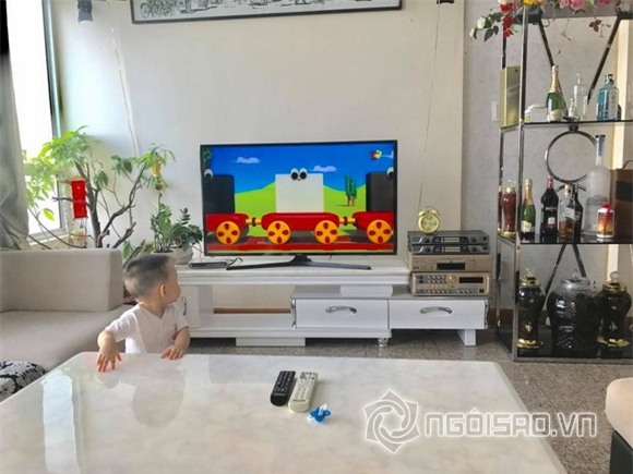 Diễn viên phi thanh vân,nữ hoàng dao kéo phi thanh vân,phi thanh vân ly hôn