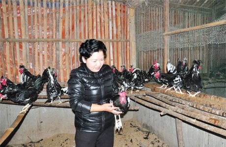 Trang trại chim quý của nữ tỷ phú Tuyên Quang