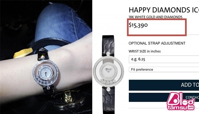 thuy tien blogtamsuvn (10)