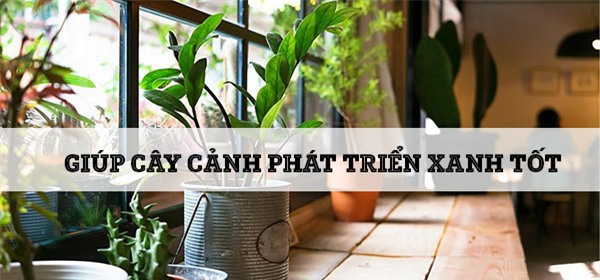 Công dụng “trời ban” của oxy già: Phụ nữ nào cũng cần phải có trong nhà - Ảnh 3.