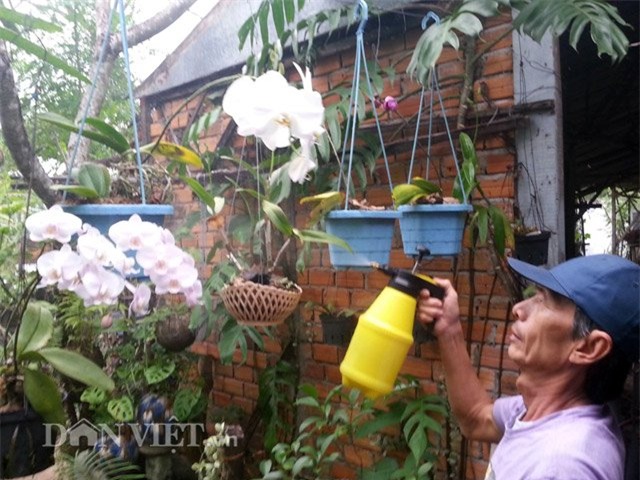 Chiêu lạ: Dùng bia để tưới cây, bón nấm ở Phú Yên