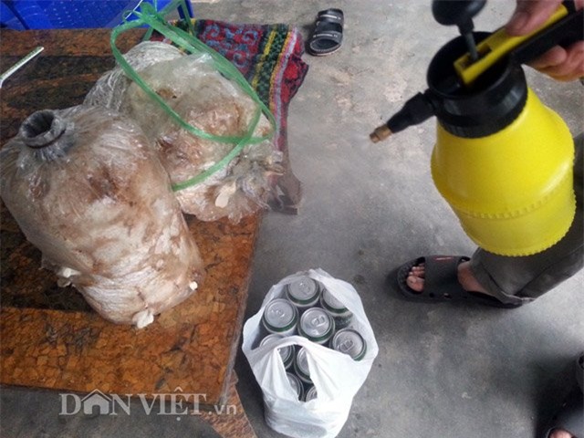 Chiêu lạ: Dùng bia để tưới cây, bón nấm ở Phú Yên