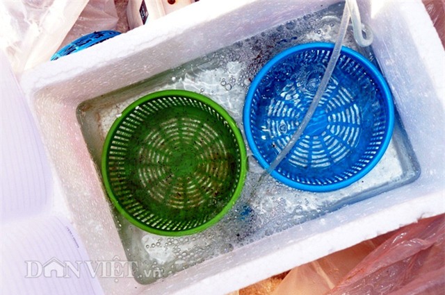 phan khoi moi dem thu chuc trieu dong nho tom hum nhi hinh anh 6