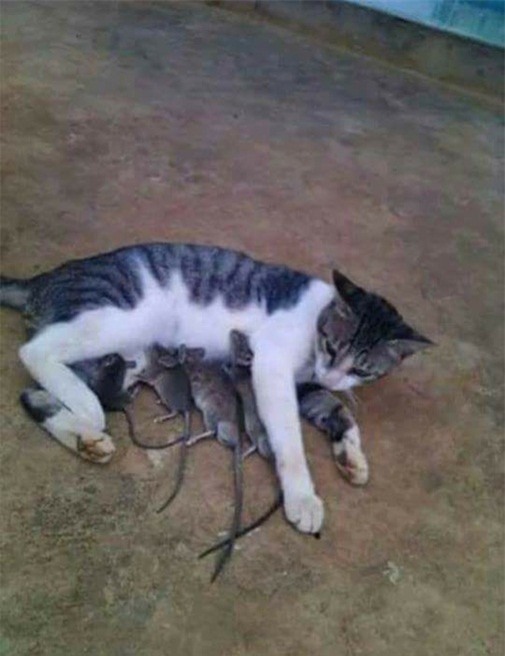 anh-hot-blogtamsuvn.jpg 9