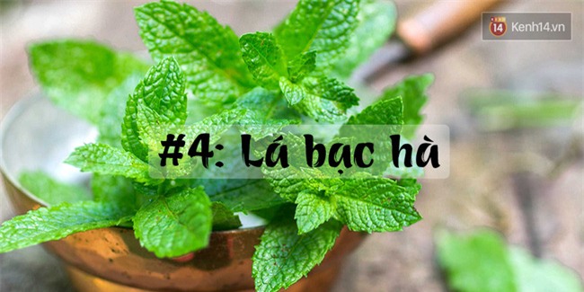 5 kiểu trị mắt thâm quầng nhanh mà cực kỳ hiệu quả - Ảnh 7.