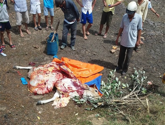Bat doi tinh nhan trom bo xe thit tai cho hinh anh 1